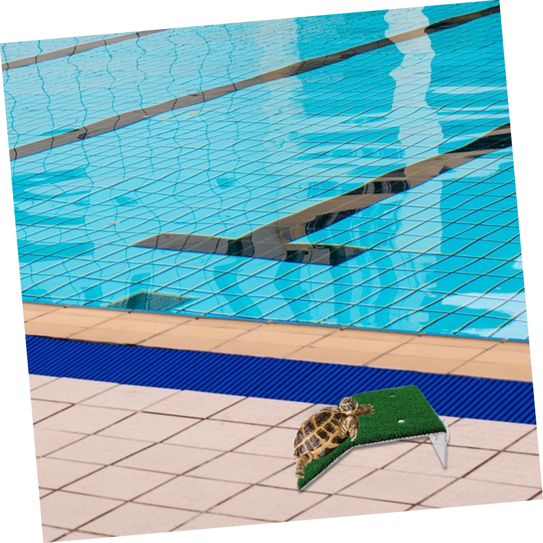 HEMOTON 3stücke Pooltierrettungsfluchtrampe Ausstiegsrampe Für Kleintiere Aus Pools Teichleiter Für Wildtiere Poolausstieg Für Tiere Sicherheitsrampe Für Hunde Rettungsrampe Für Tiere Klet