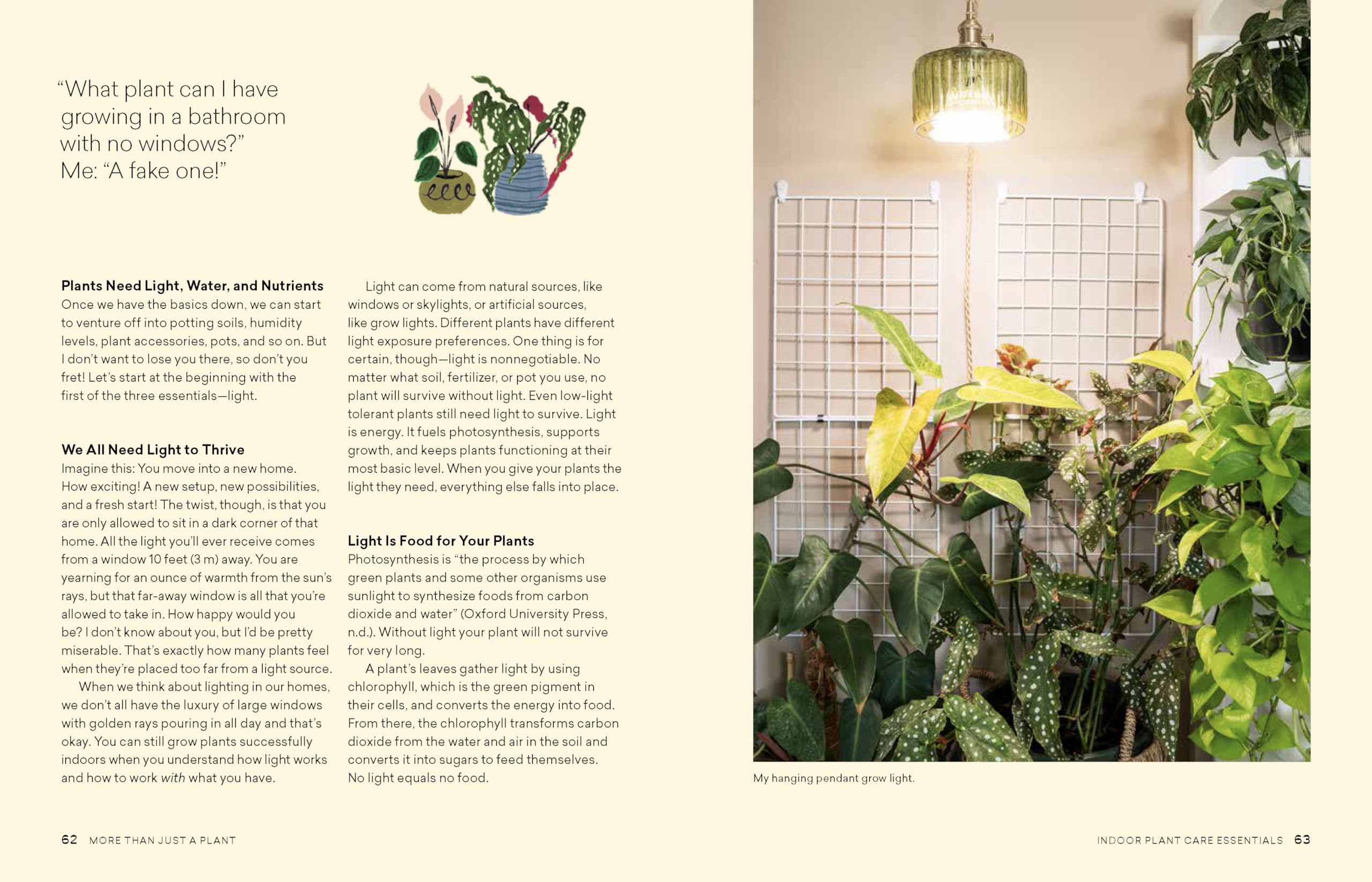 More Than Just a Plant: How to Care for Your Plants as They Care for You