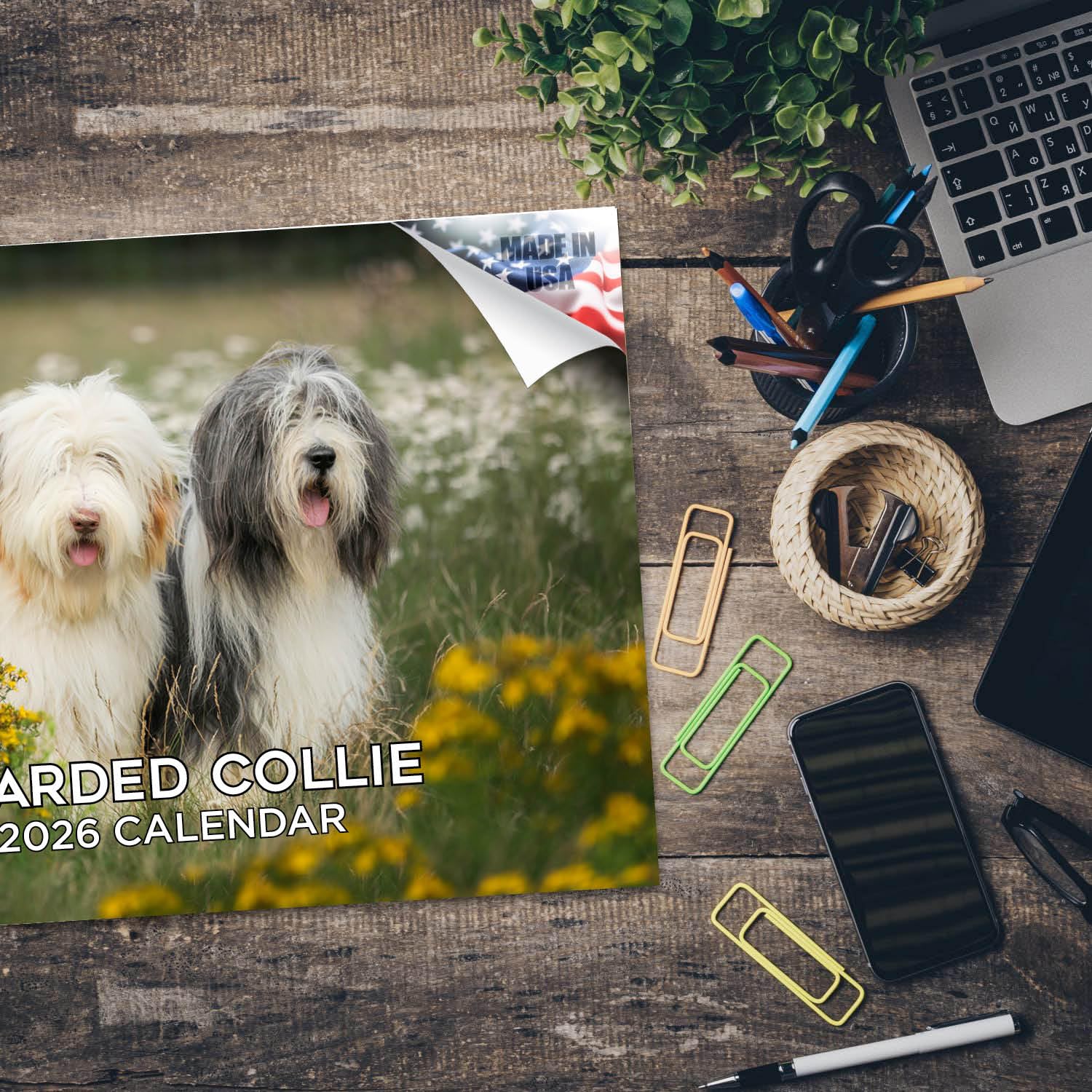 2024 2025 Bearded Collie Kalendarz - Miesięczny kalendarz ścienny rasy psów - 30 x 45 cm otwarty - gruby papier bez przebarwień - prezent - akademicki planer nauczyciela kalendarz organizowanie i