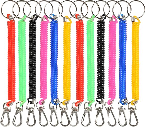 H&W 12pcs Retractable Coil Spring Keychain, 6 colors Spiral