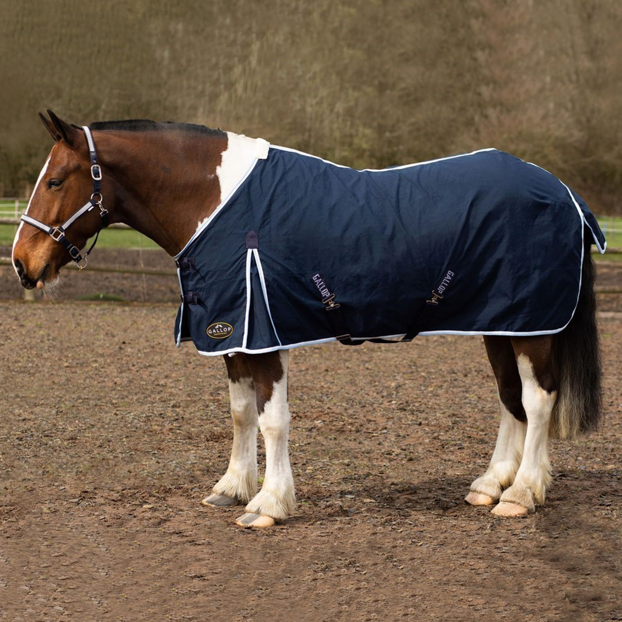 Gallop Cotton Summer Sheet For Horse Pony Equestrian (7'0", Navy)