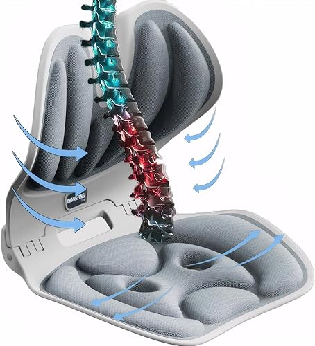 CHANGFENG Soporte ergonómico lumbar para silla de oficina, soporte lumbar para computadora, cojín de respaldo para silla de juegos para aliviar el