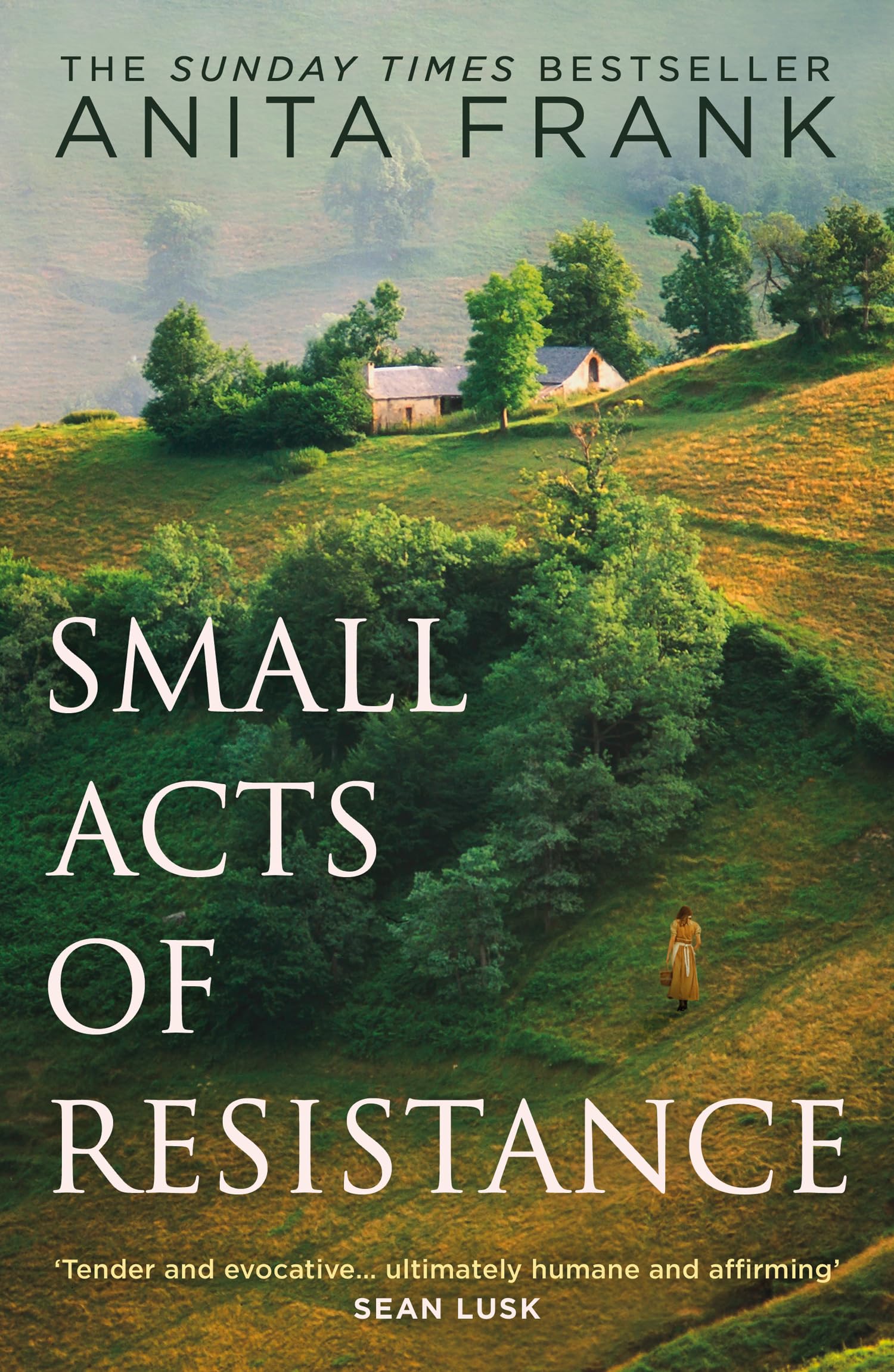 Small Acts of Resistance: A captivating First World War historical fiction novel of love, loss and sacrifice by the Sunday Times bestselling author, perfect for fans of Sebastian Faulks in 2026!