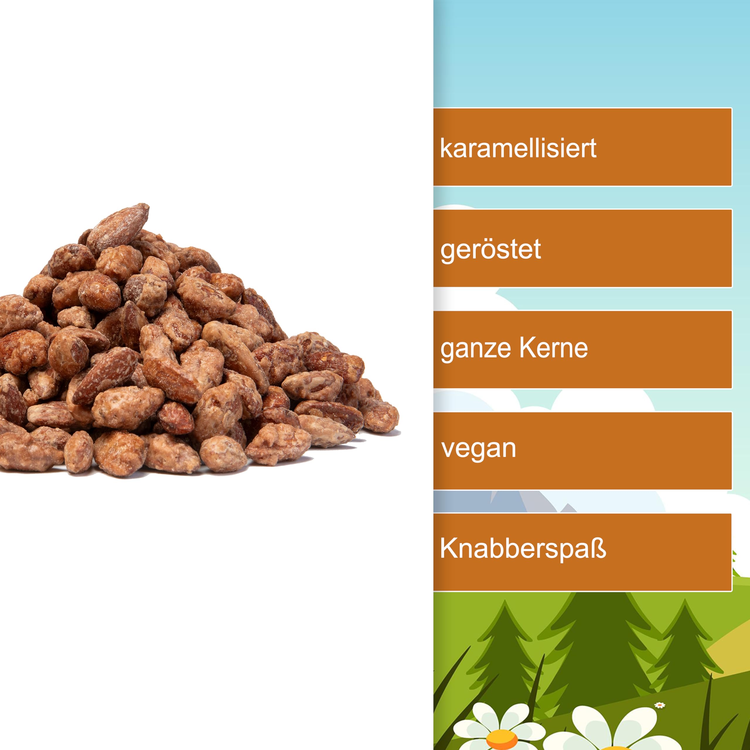 Gebrannte Mandeln 1kg – karamellisierte Mandeln wie vom Jahrmarkt/Weihnachtsmarkt | geröstet & gezuckert | Knusprige ganze Mandelkerne – Knusper-Snack im Eimer