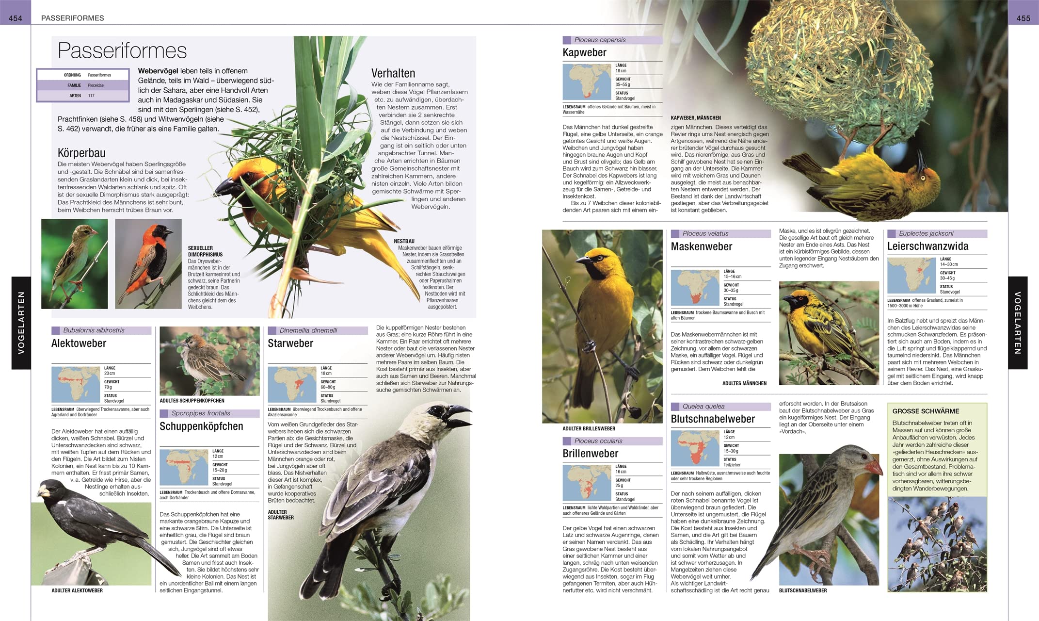 Vögel: Die große Bild-Enzyklopädie mit über 1200 Arten und 5000 Abbildungen (DK Bibliothek)