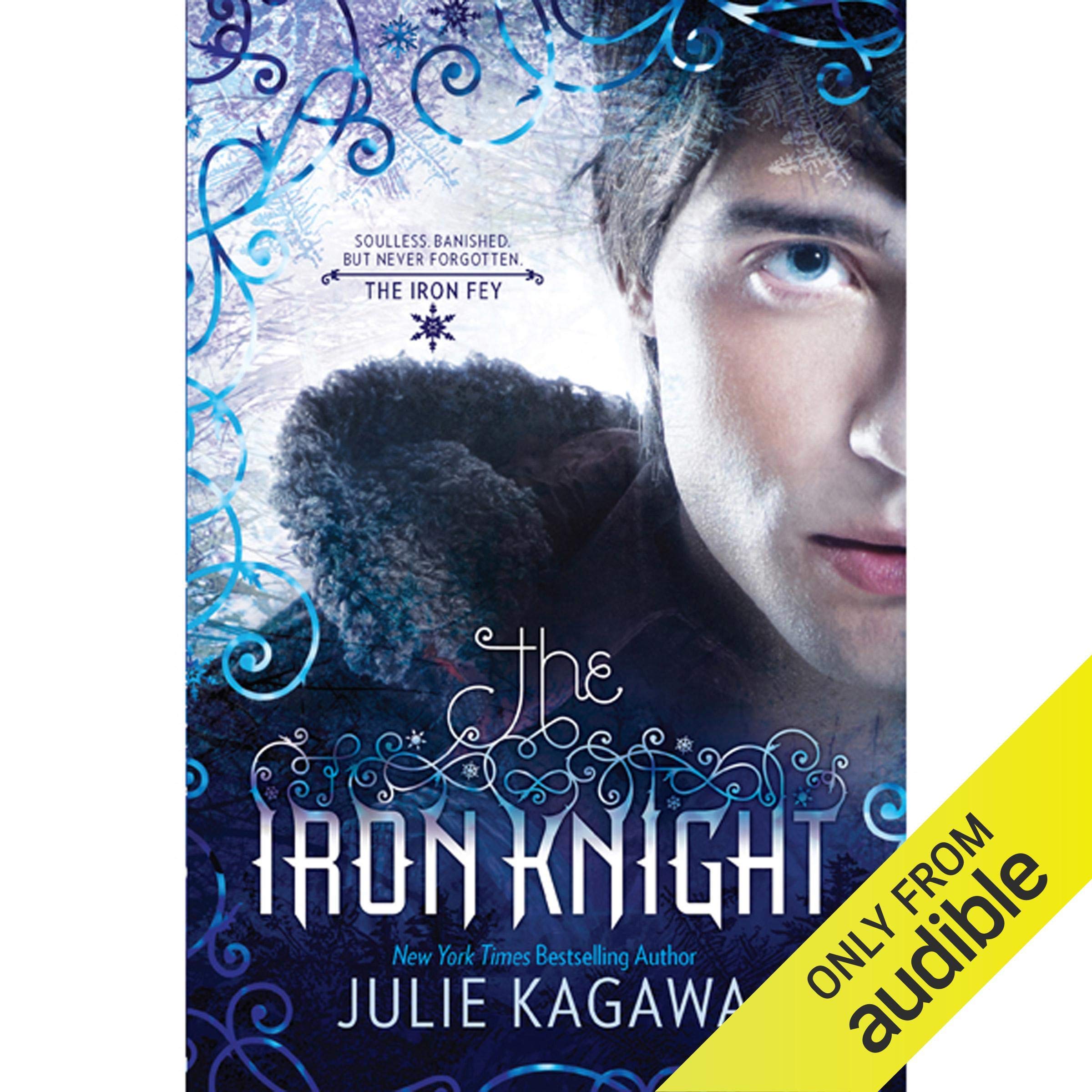 The Iron Knight: The Iron Fey, Book 4