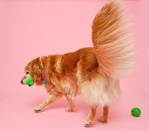 Miniatura 6 de Hartz DuraPlay Bone - Juguete chirriante de látex para perro, grande, paquete de 3