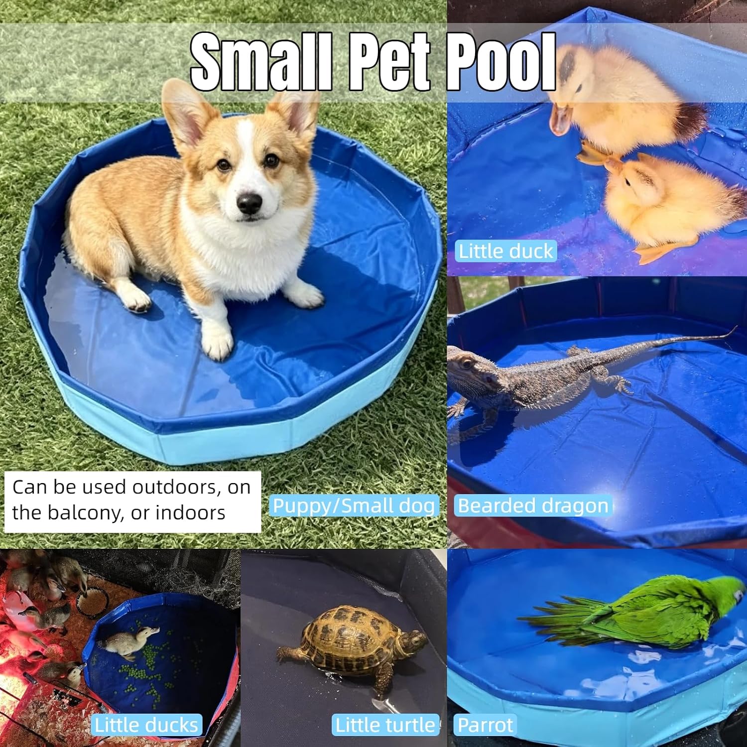 Foldable Dog Pool Blue Portable Small Pet Wading Pool (50/50/10 cm, #01) image 3