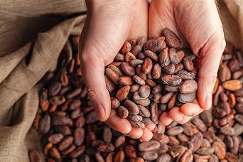 JOVIA Organic Chocolate - 100% Dark Date 85 gr