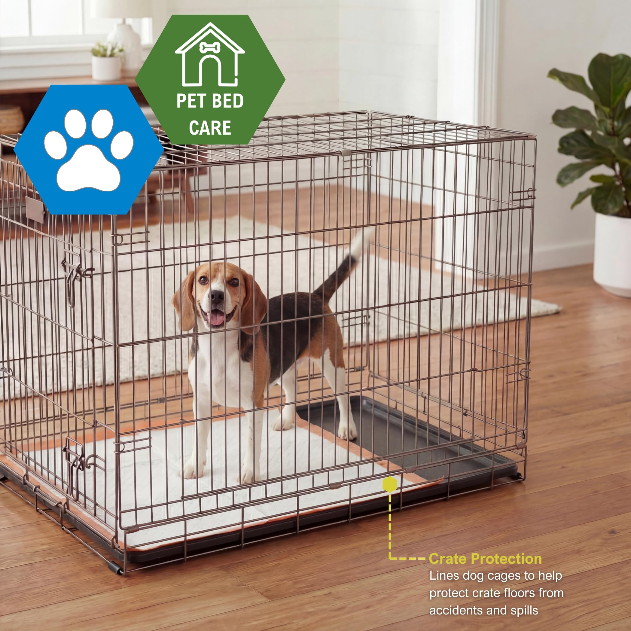 MED PRIDE Lot de 100 tapis de dressage pour chien avec appât jetables, ultra absorbants avec technologie à 6 couches - Anti-fuites et imperméables pour chiens, chats, lapins [55,9 x 61 cm]