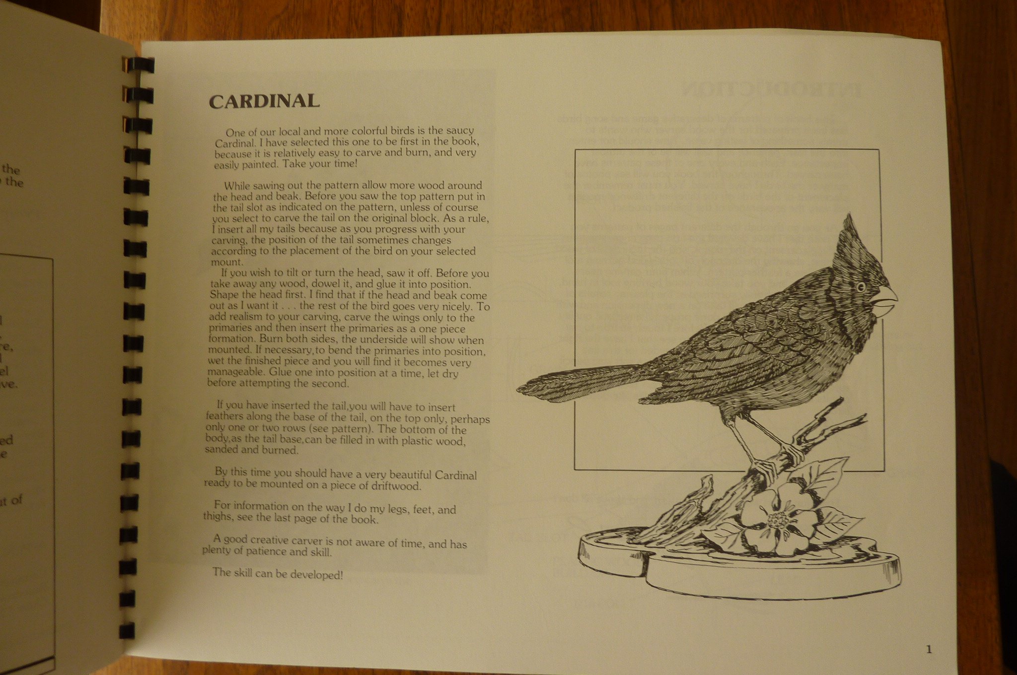 Carving 20 Realistic Game and Song Birds: Complete Patterns and Instructions: No. 1 (Woodcarvers' Favorite Patterns S.)