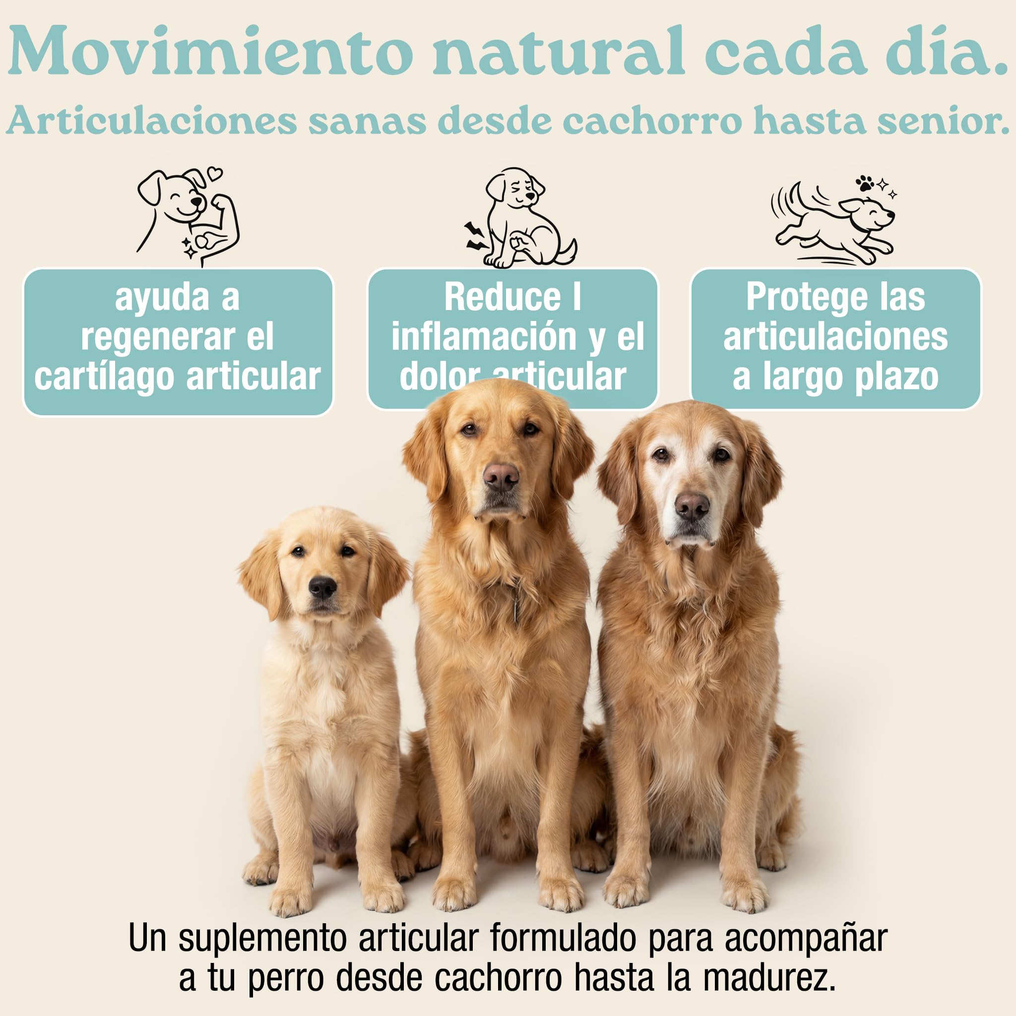 MyPetPrime Articulaciones Complemento alimenticio para Perros - 125 Comprimidos | Nueva fórmula JointSupport™ con MSM, Polvo de mejillón de Labio Verde, glucosamina y Garra del Diablo
