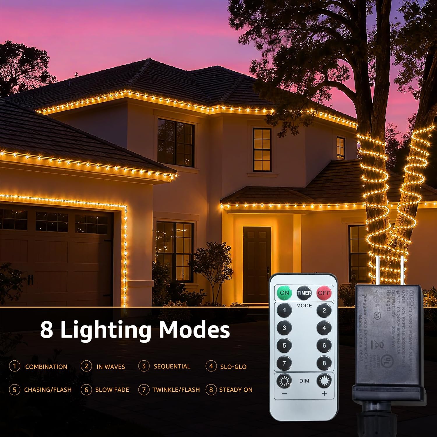 100ft LED Rope Light with Remote 8 Modes Strip Lights with Timer & Memory 5.5mm Large Diameter Twinkle Lights for Wedding Garden Christmas Halloween Bedroom Patio Decorations (30M, Warm White)