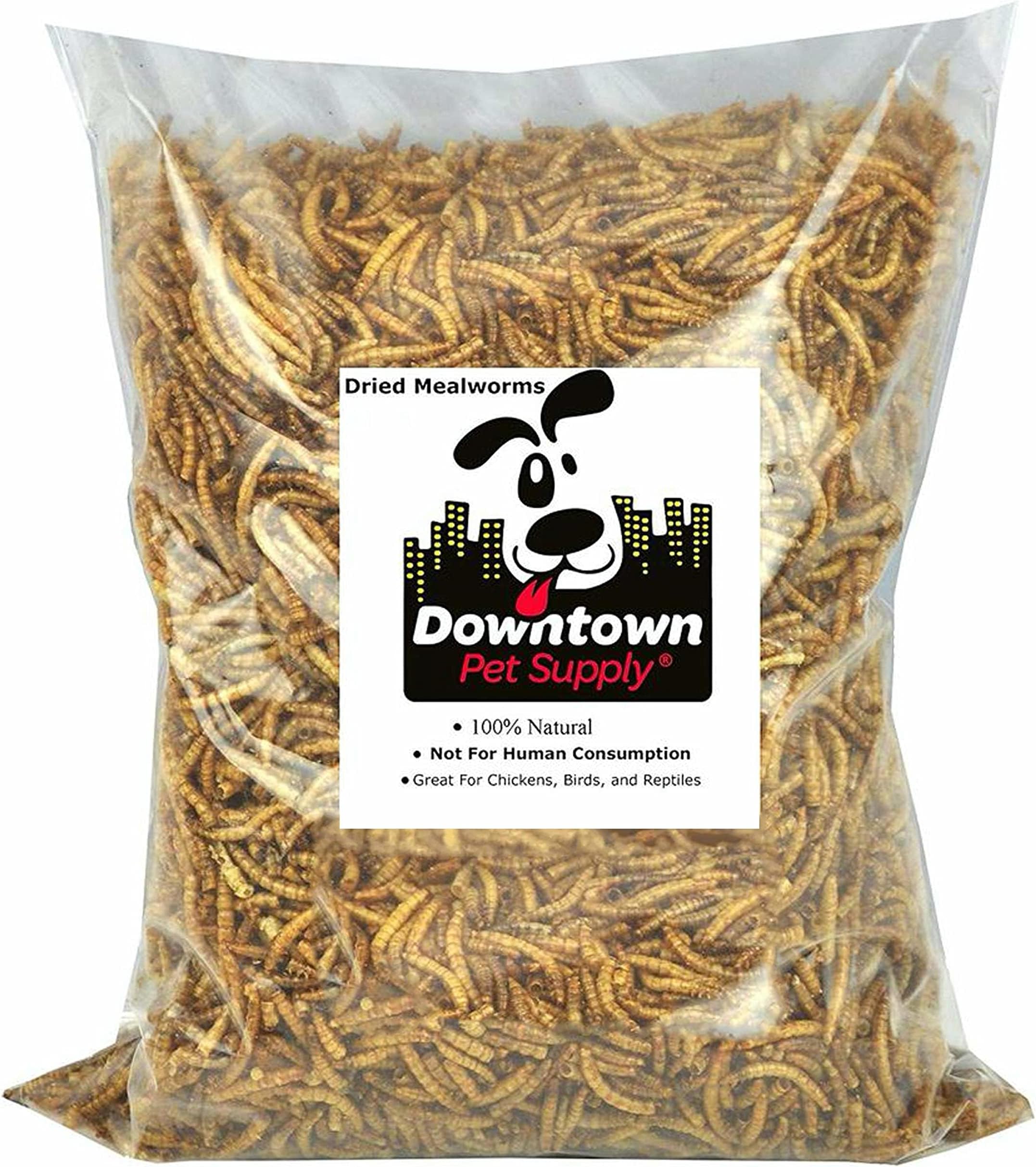 Predator Foods Bulk Live Mealworms 1,000 Count (Large