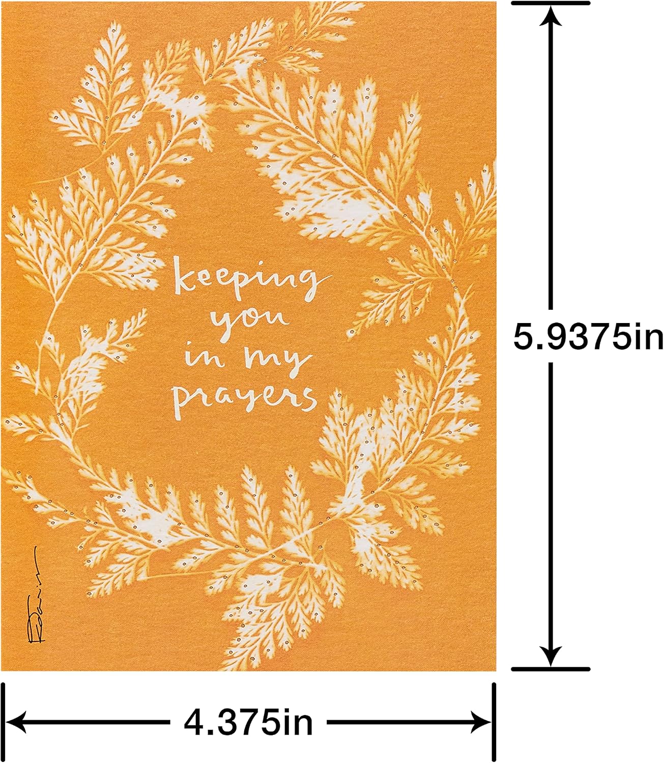 American Greetings Deluxe Boxed Sympathy, Thinking of You, and Blank Cards with Envelopes, Kathy Davis Designs (32-Count)