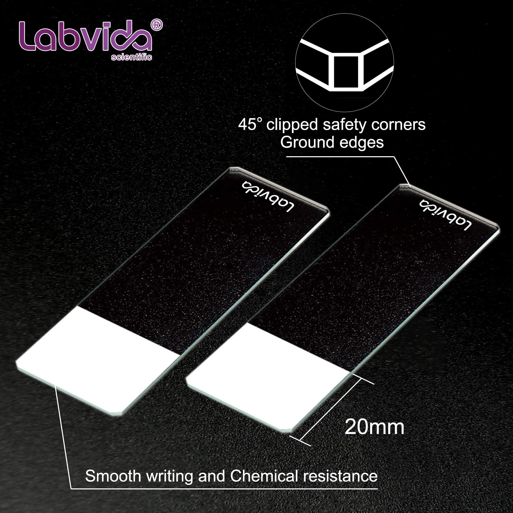 【関税＆送料込み】ChloAC 'Mae' Slides 61mpYERn8kL._UF350,350_QL50_.jpg