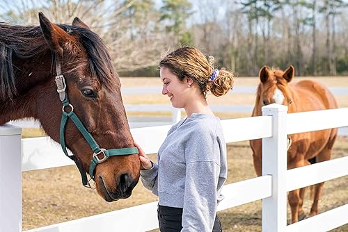 Miniatura 6 de Bella Bandeau, versátil y cómoda diadema elástica mágica y bufanda deportiva sin costuras, 14 maneras de llevar, Yegua artística, 1 recuento