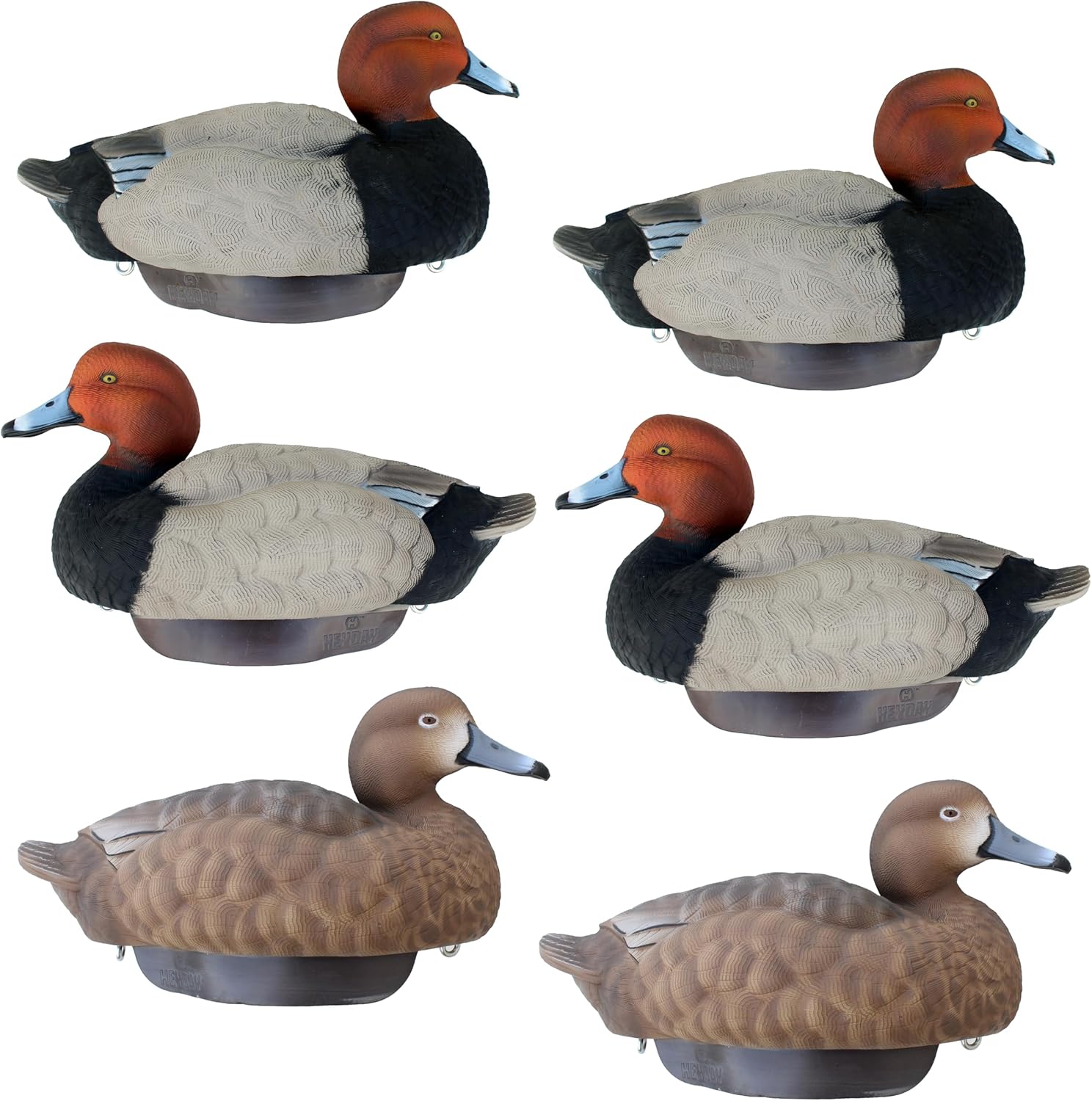 Redhead Duck Decoys by Heyday – Ultra-Light 100% HydroFoam | Durable, Realistic Design | 6 Pack of Duck Hunting Decoys