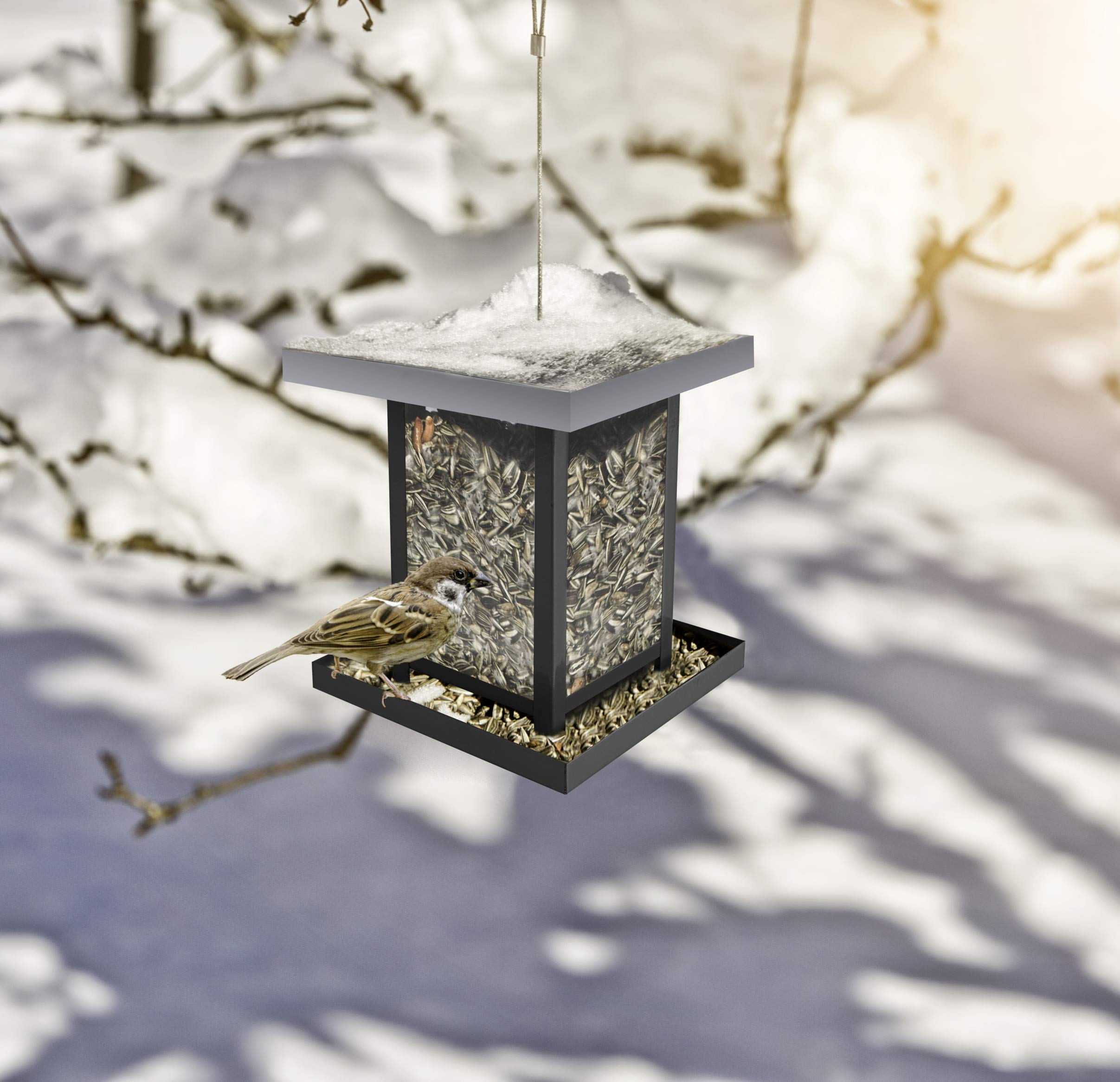 Sitemapcdatahttpsshopinf Inetcomtruffaut Oiseaux Prix