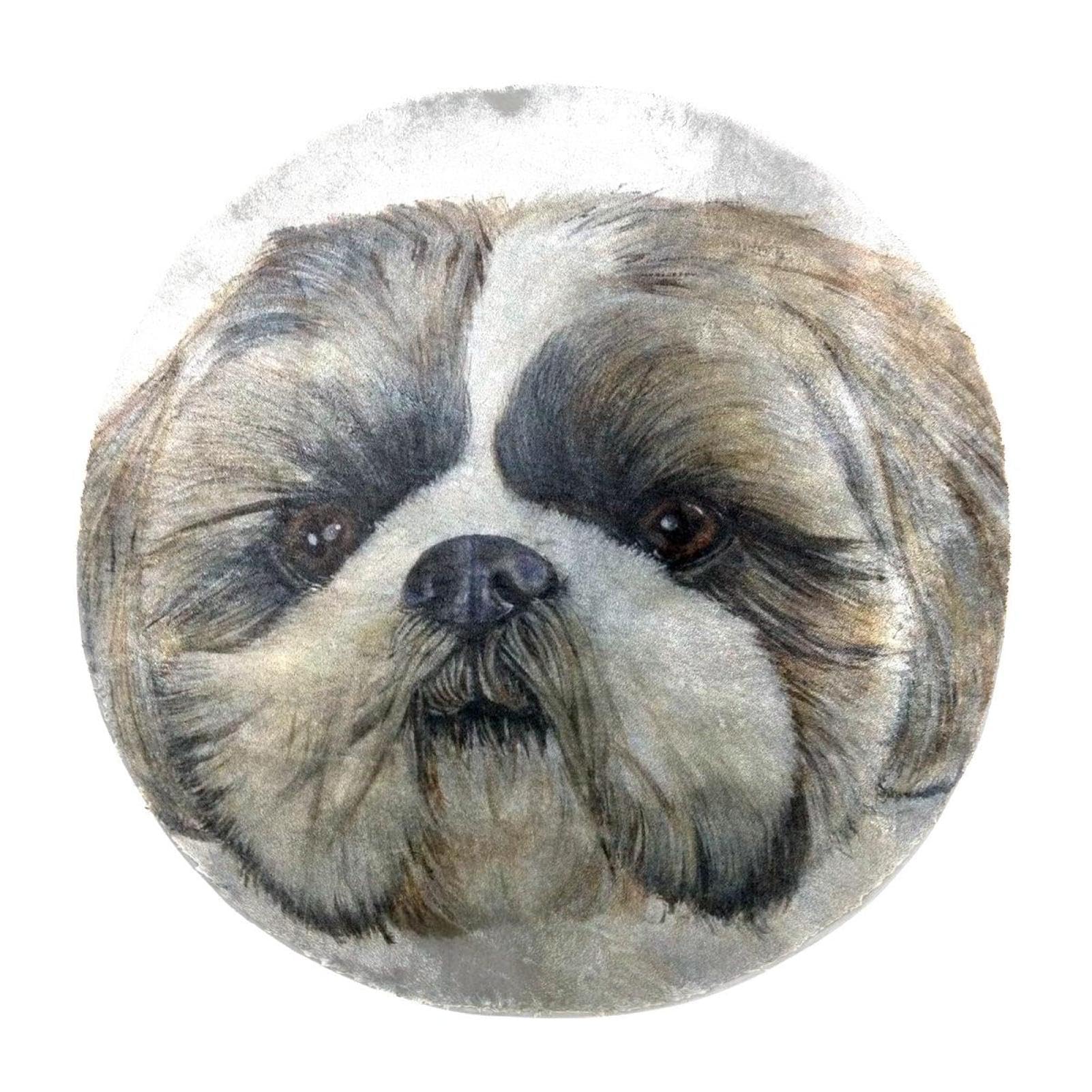 Tapis rond à poils longs 60 cm pour chien Shih Tzu et salon moderne
