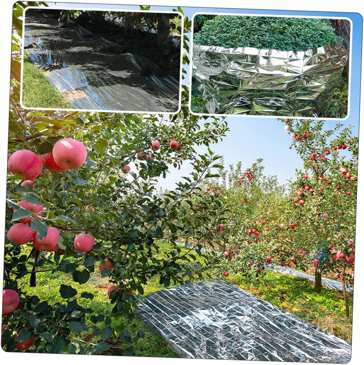 YARNOW 4pcs Reflective Film for Gardening High Reflectance Film for Greenhouses Plant Growth and Emergency Use Multi-Functional Outdoor Tool for Planting