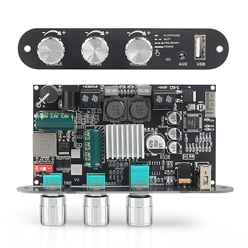 Placa de amplificador mono Wuzhi Audio ZK-1001U con TWS, salida de potencia de 100W, entrada de voltaje amplio para vehículos 9-24V, compatible con