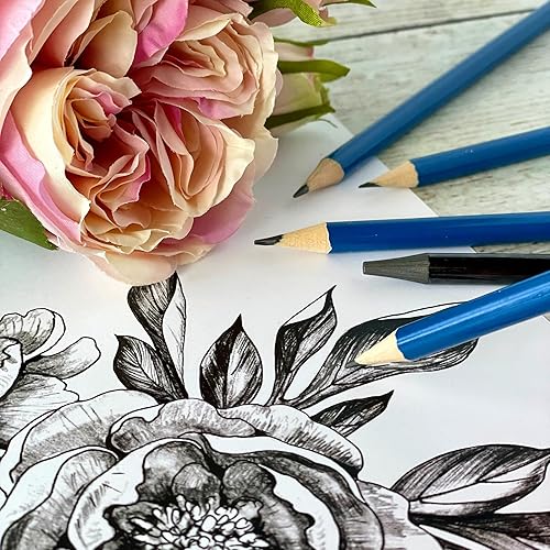 Miniatura 6 de ArtSkills Kit de dibujo con lápices de grafito, lápices de carbón y bloc de dibujo de 9 x 12 pulgadas (4.23 ozm) de 9 x 12 pulgadas, 75 hojas sin