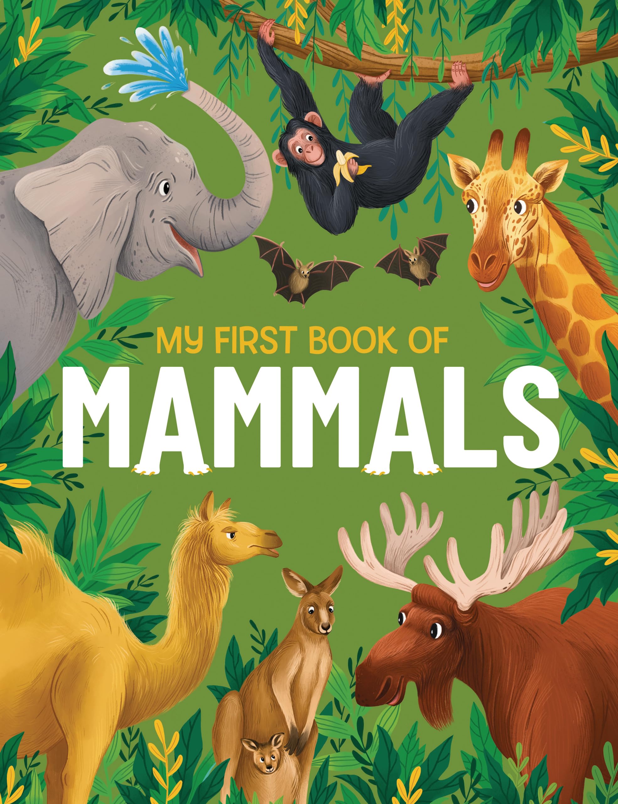 My First Book of Mammals: A amazing first Look at mammals found around the world: 3: An Awesome First Look at Mammals from Around the World: An Illustrated First Look at Mammals from Around the World