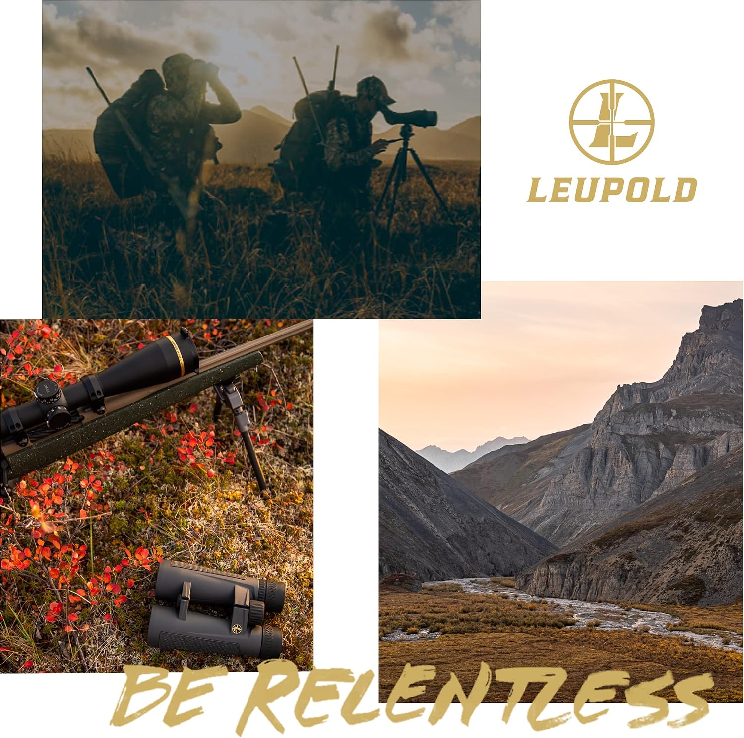 Leupold BX-2 Alpine HD Binoculars, 12x52mm (181179)