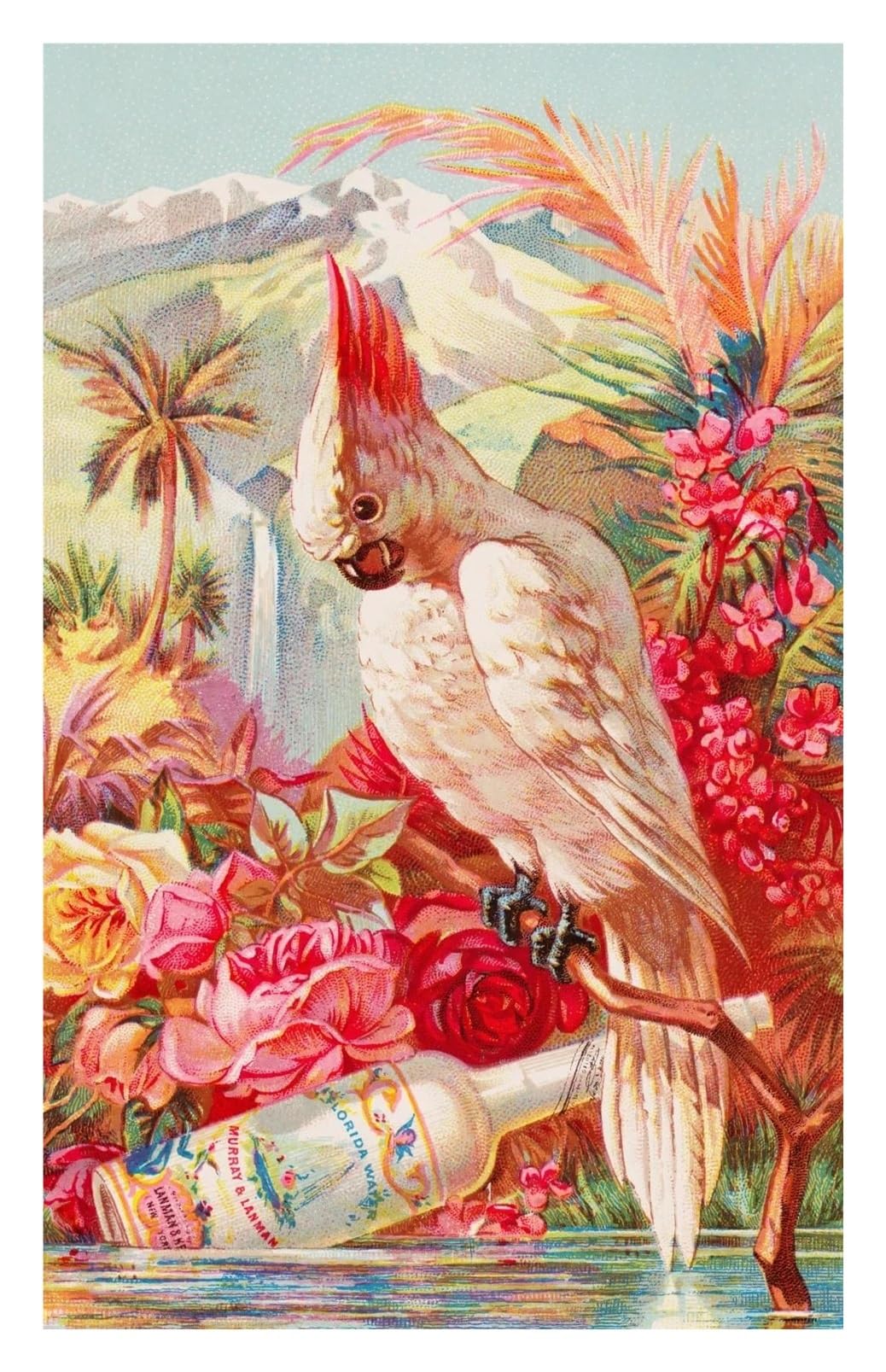 Colibri et fleur tropicale pour mur vide | Tableau moderne 20x30