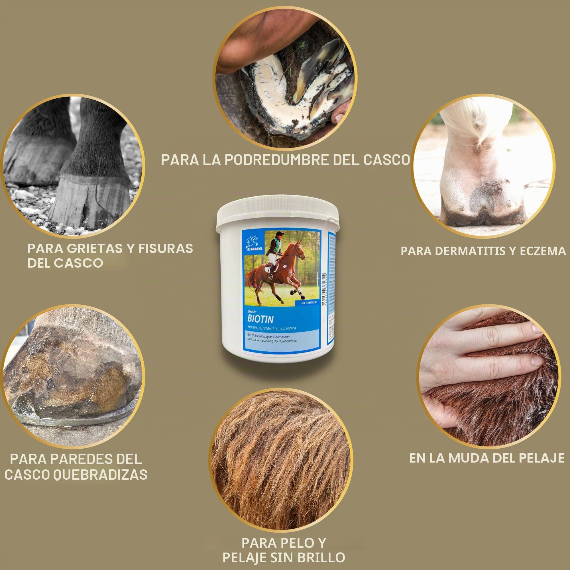 Biotina Caballo + Zinc Caballo Altamente Dosificado 1Kg - Alimento Mineral con Problemas de Pezuñas con Biotina y Zinc I Cura de Pezuñas para Pelo Pezuñas y Crecimiento de Pezuñas I Cambio de Pelaje