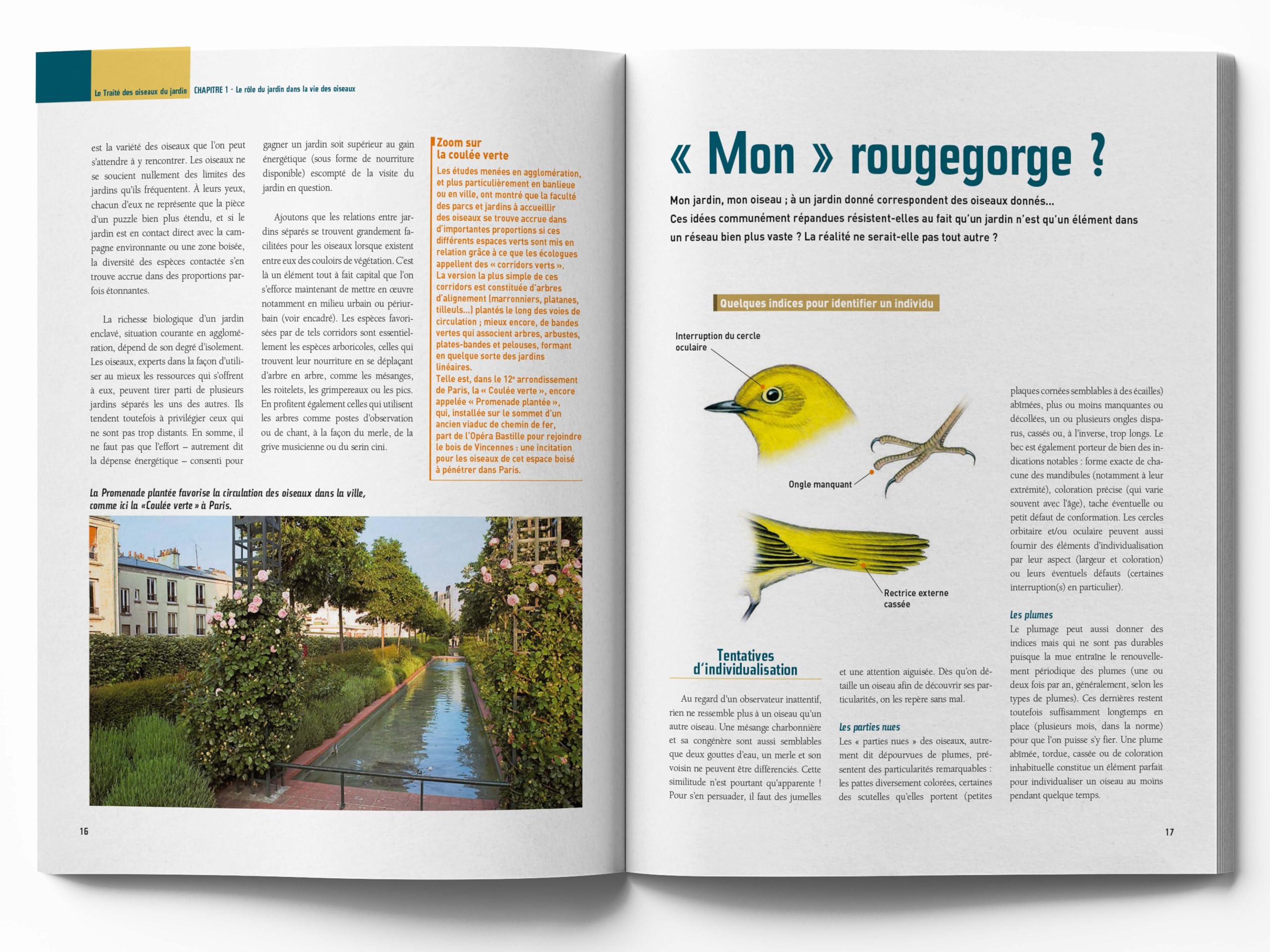 Le traité Rustica des oiseaux: Des jardins, des bois et des campagnes