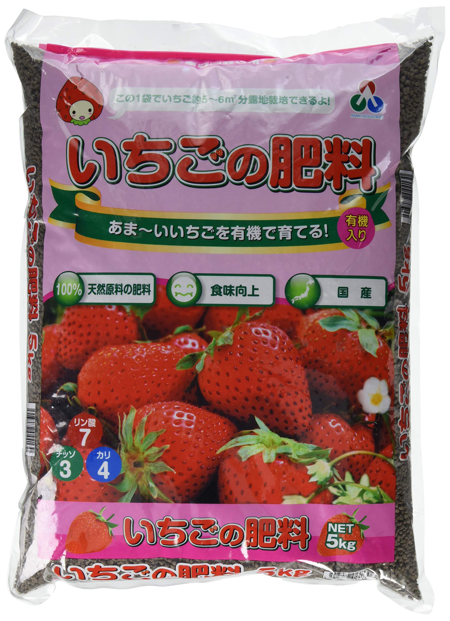 いちご 専用 みんな大好き可愛いフルーツ「イチゴ」 | 「タキレポ」産業用