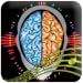 Sacred Frequencies