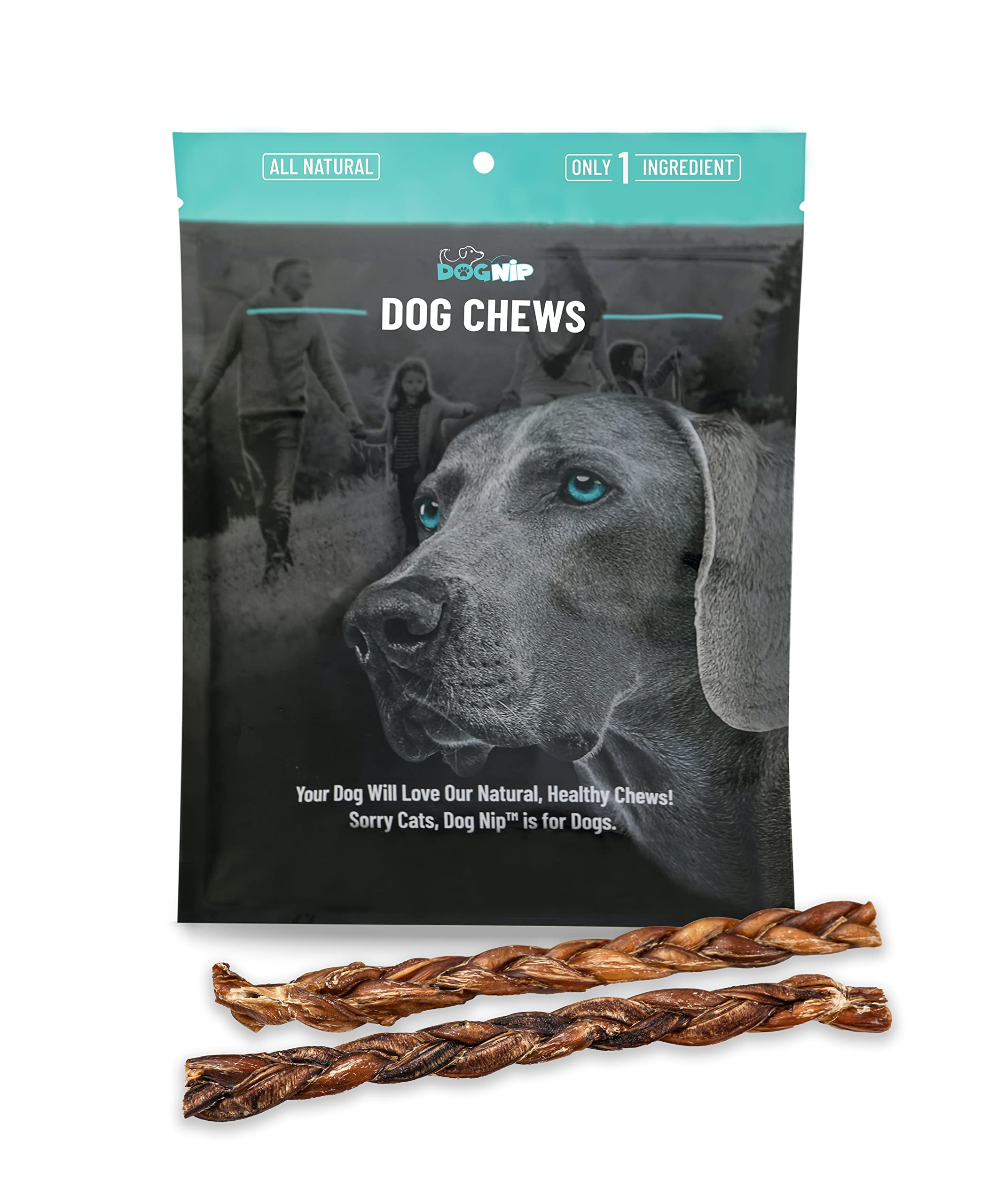 Dog Nip! 12-Inch Braided Bully Sticks 1-Pound (Approx. 6-8 Pieces) for Dogs or Puppies - All Natural Odor Bully Pizzle Bone - Grass Fed Beef - Best