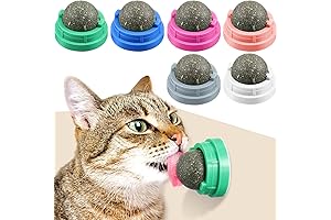 6-Piece Catnip Wall Toys for Intense Kitty Pleasure