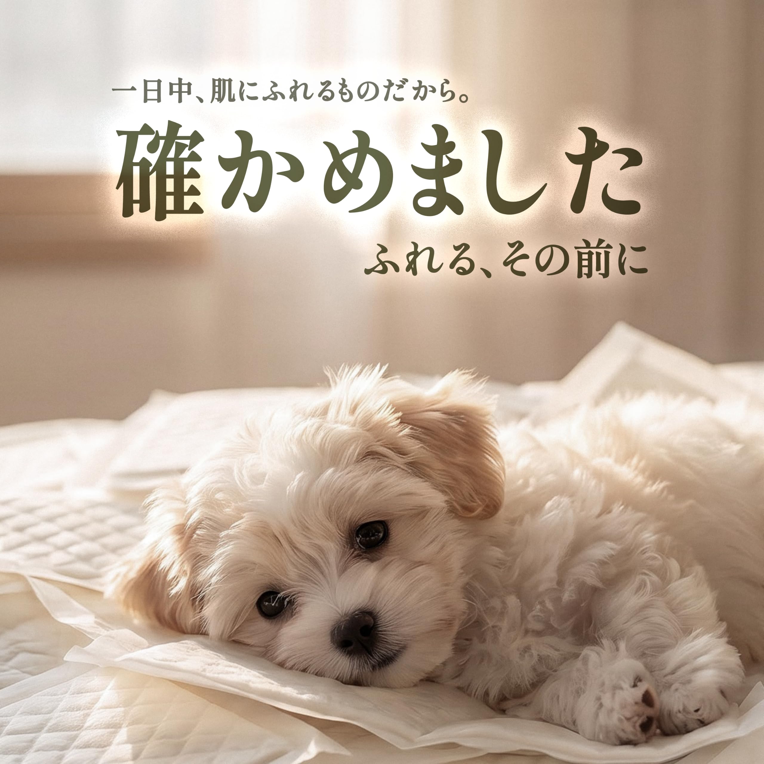 Amazon.co.jp: WICKEDPUP 犬用おむつライナー、100枚入 | 男の子の