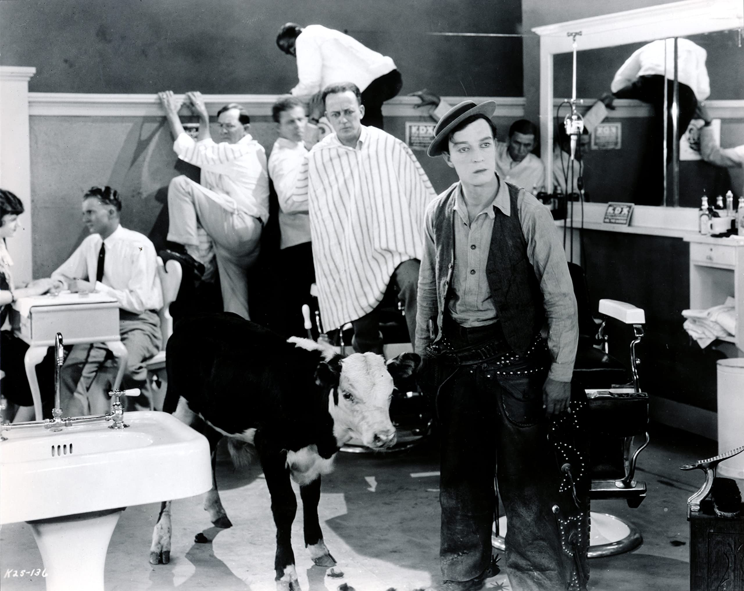 [Elephant Films] Edition officielle française - Buster Keaton - Coffret 5 films - 5 DVD
