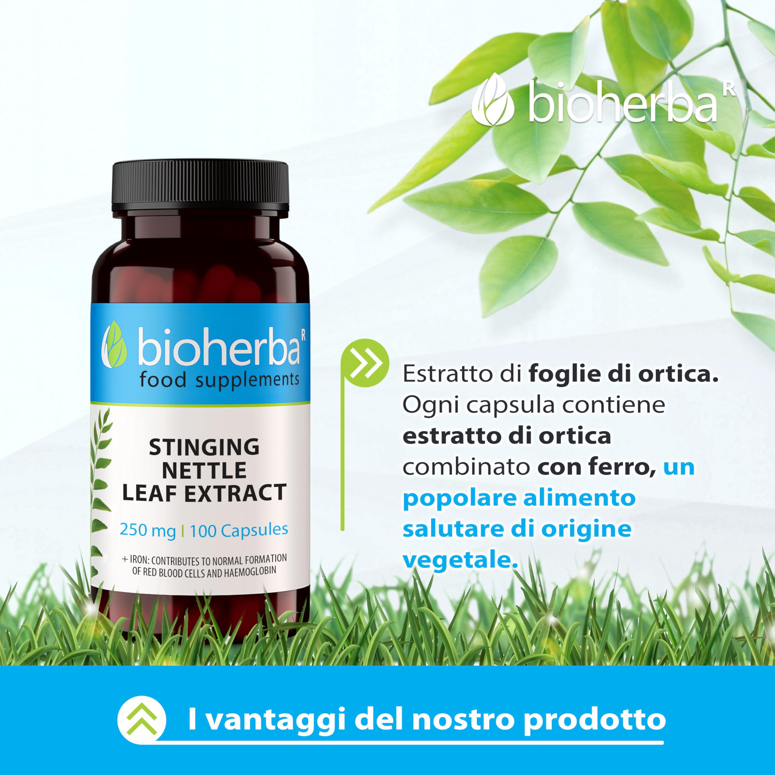 Ortica Forte by BIOHERBA Integratore Naturale con Estratto di Foglie di Ortica 250 mg e Ferro 200 Capsule per Vitalità e Benessere