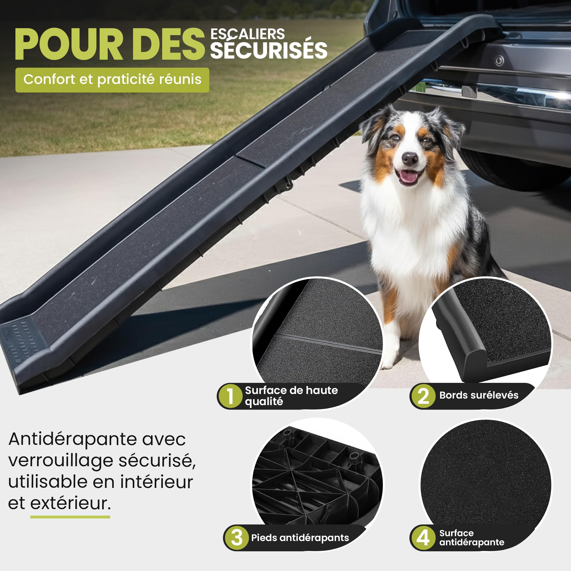 all Pets United® Rampe pour Chien et Chat Pliable Aide à l'entrée dans Le Coffre Escalier pour Animaux domestiques pour Grands et Petits Animaux (Rampe)