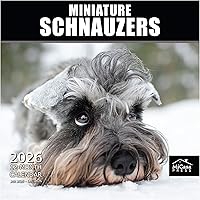 Vista 101 de MICASA PRESS Corgi Butts - Calendario de pared 2026 de 12 meses 12 x 24 pulgadas abierto Papel grueso y resistente Regalo de vacaciones