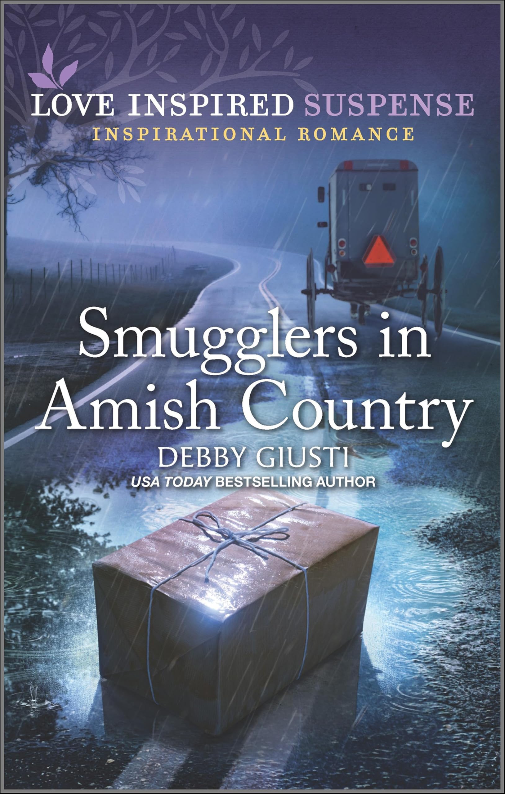 Buy Smugglers in Amish Country — BookShops.in
