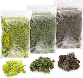 War World Scenics Lichen Moss Model Foliage Multi-Pack 3 x 20g (Light Green, Dark Green, Brown) –Railway Modelling Wargame Basing Scenery Landscape Trees Bushes Hedges Diorama