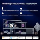 Philips Hue OmniGlow Striscia LED per esterni, 10 m - 9