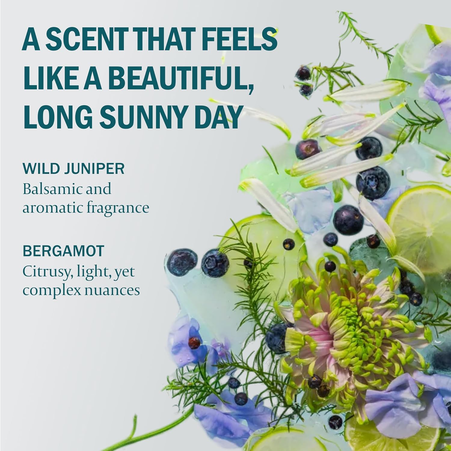 Kair Signature Clothing Wash, Wild Juniper & Bergamot, Laundry Detergent image 4
