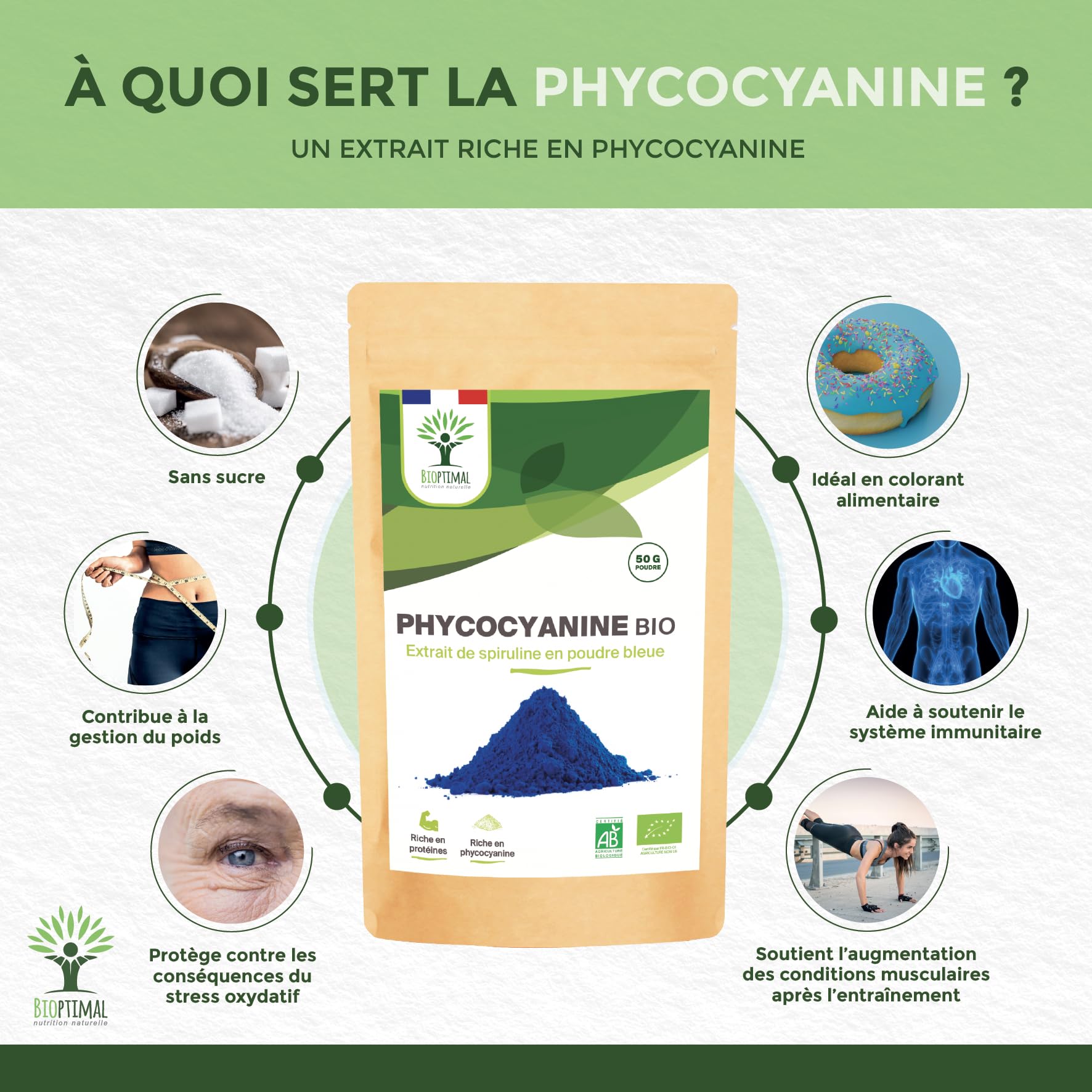 Spiruline Bleue Bio - Bioptimal - En Poudre - 30% Phycocyanine Blue 80% Protéines - Colorant Alimentaire Bleu Intense - Cuisine Recette - Contrôlé et Conditionné en France - Certifié Par Ecocert - 50g