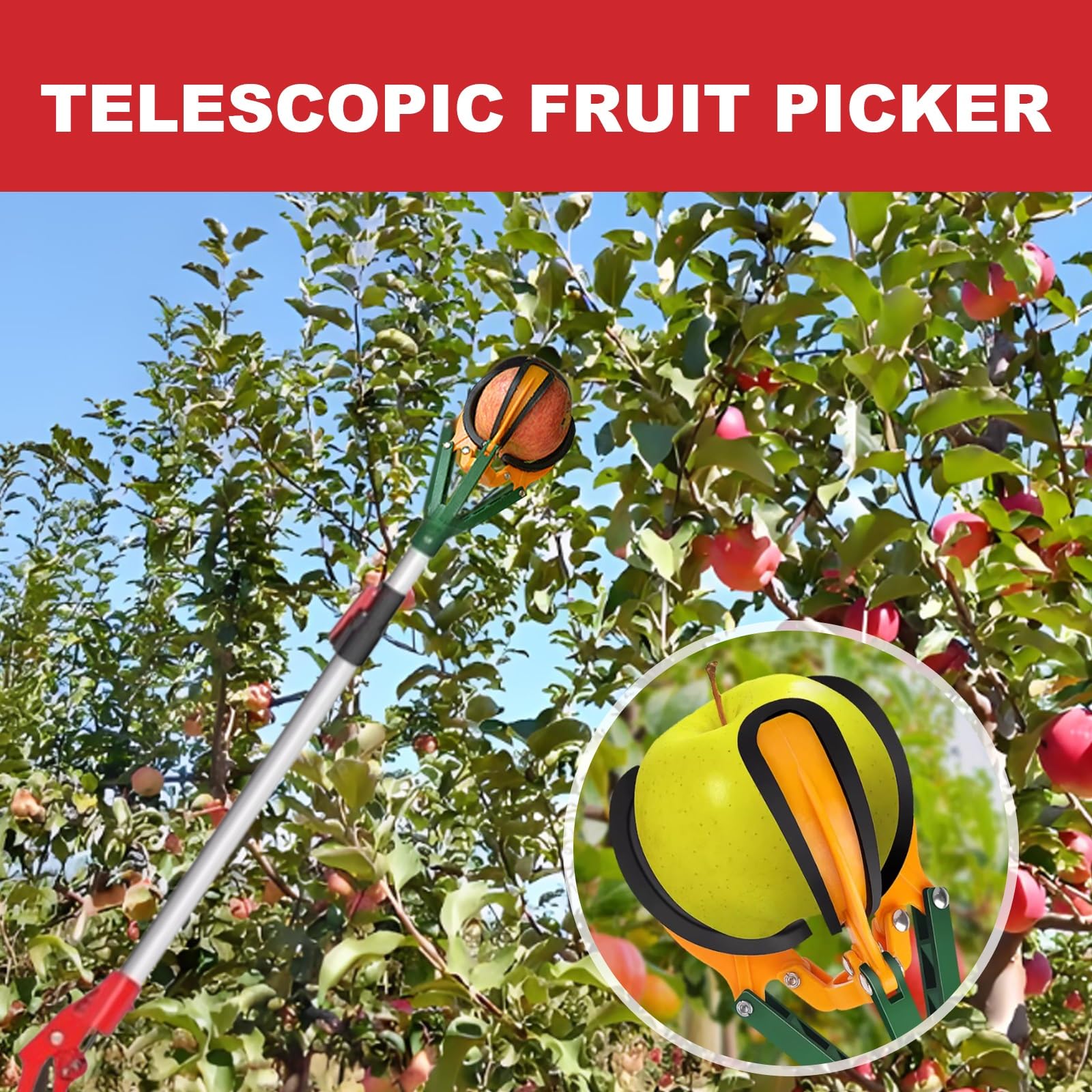 Asta per la Raccolta della Frutta, Raccoglifrutta Estensibile Regolabile 39"-59", raccoglifrutta Multifunzione con Copertura Antiscivolo, Asta for Arance, pere, Limoni