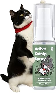 JAYUPET Active Catnip Spray: 100% Organic Fresh Catnip for Cats & Kittens, Stress Relief, Calming, Toy Reviver 1fl oz