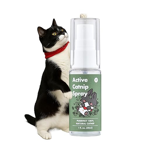 JAYU PET Active Catnip Spray - High Potency Transparent Liquid