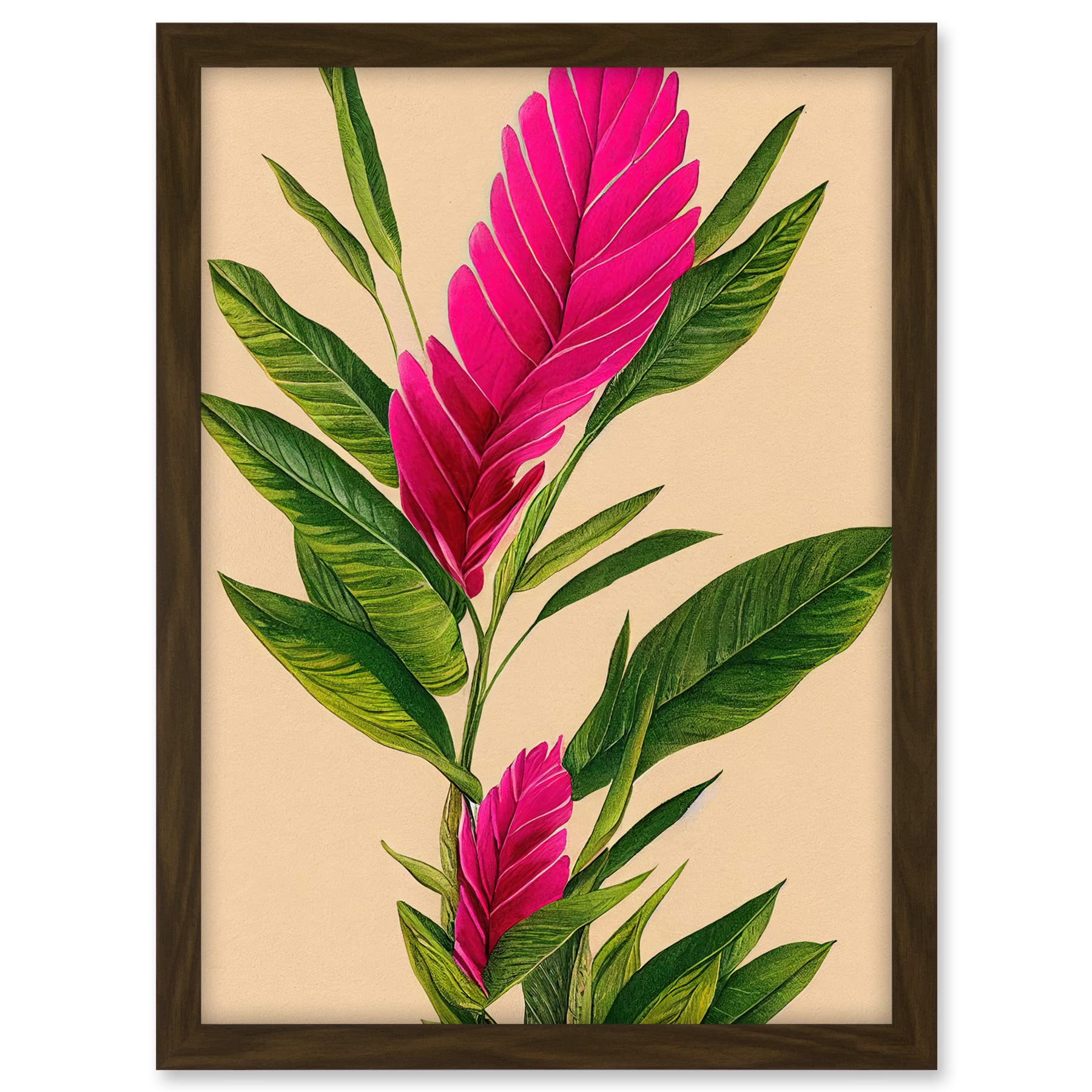 Wee Blue Coo Tropical Hawaiian Botanical Exotic Pink Floral illustration Artwork Framed A3 Wall Art Print